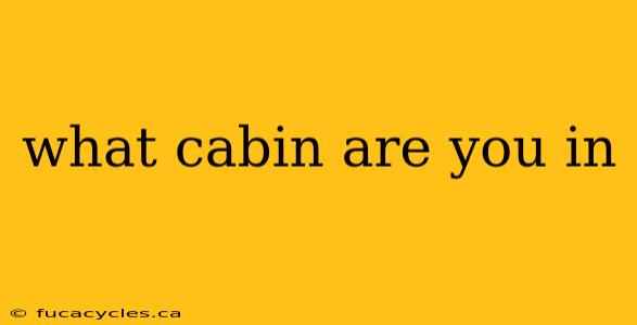 what cabin are you in