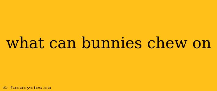 what can bunnies chew on