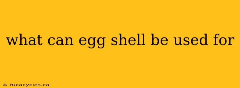 what can egg shell be used for