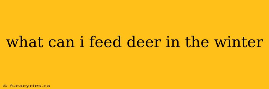 what can i feed deer in the winter