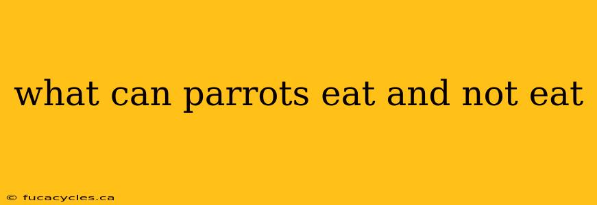 what can parrots eat and not eat