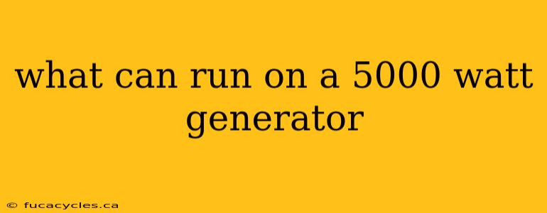 what can run on a 5000 watt generator