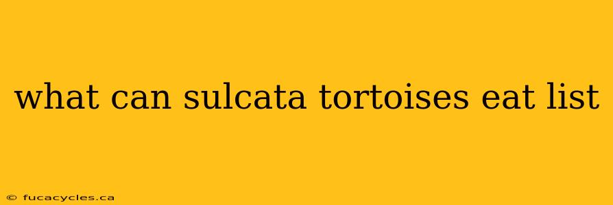 what can sulcata tortoises eat list