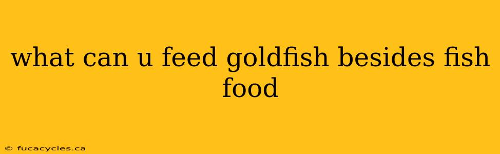 what can u feed goldfish besides fish food