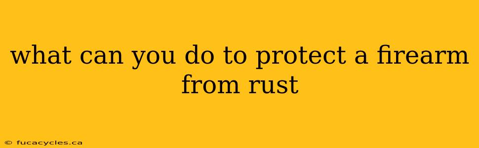 what can you do to protect a firearm from rust