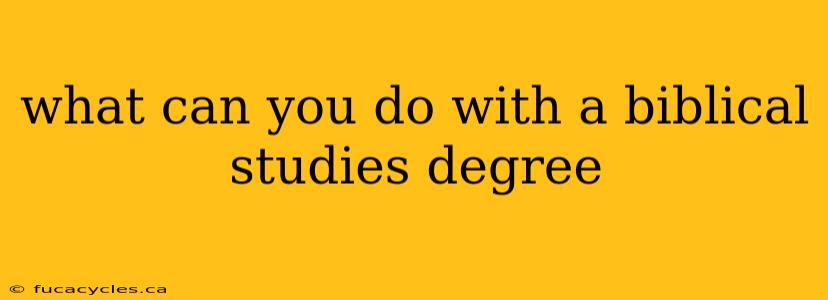 what can you do with a biblical studies degree