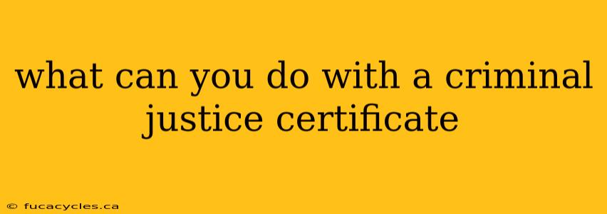 what can you do with a criminal justice certificate