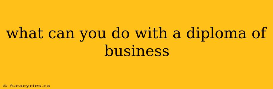 what can you do with a diploma of business