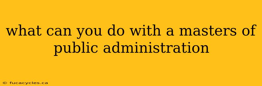 what can you do with a masters of public administration