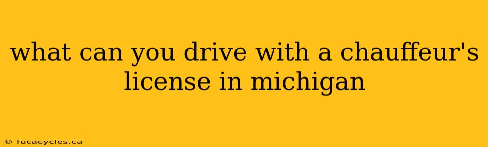 what can you drive with a chauffeur's license in michigan