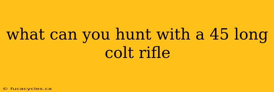 what can you hunt with a 45 long colt rifle