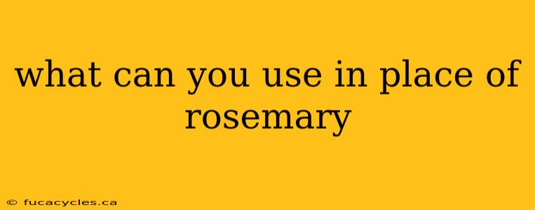 what can you use in place of rosemary