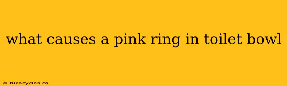 what causes a pink ring in toilet bowl