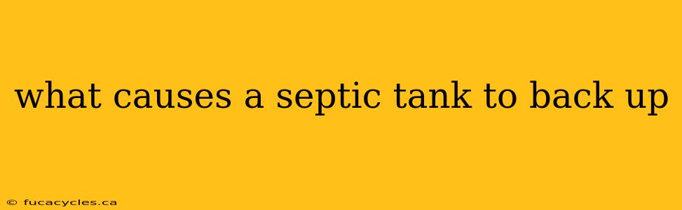 what causes a septic tank to back up