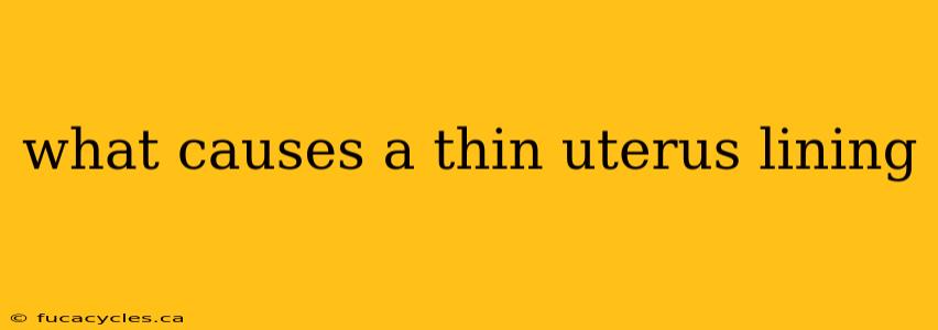 what causes a thin uterus lining