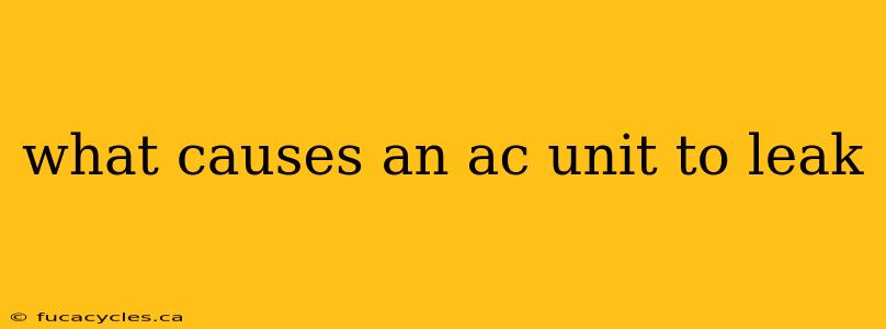 what causes an ac unit to leak