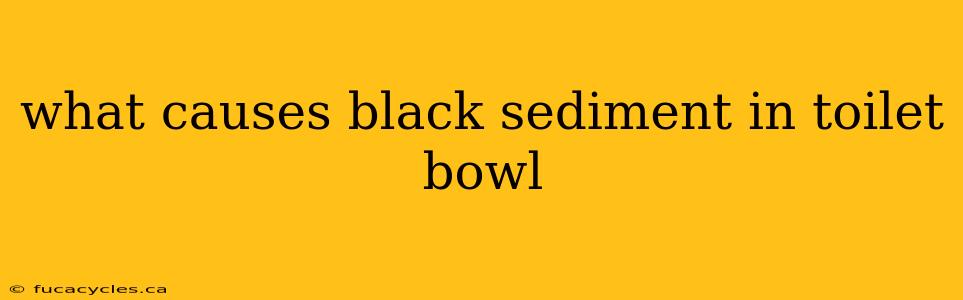 what causes black sediment in toilet bowl