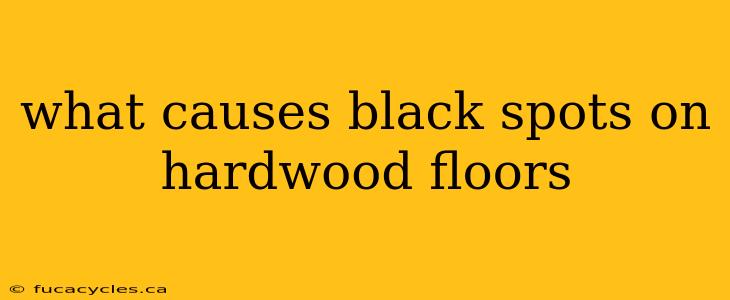 what causes black spots on hardwood floors