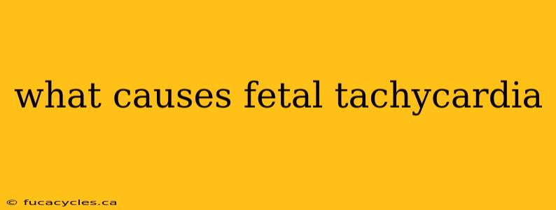 what causes fetal tachycardia