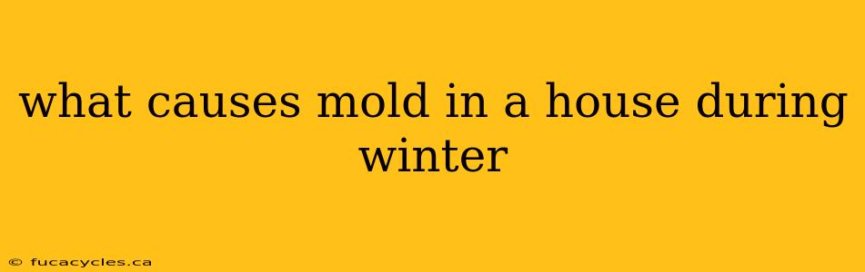 what causes mold in a house during winter