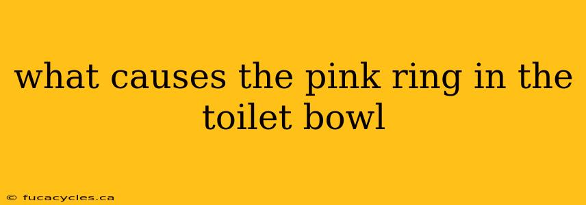 what causes the pink ring in the toilet bowl