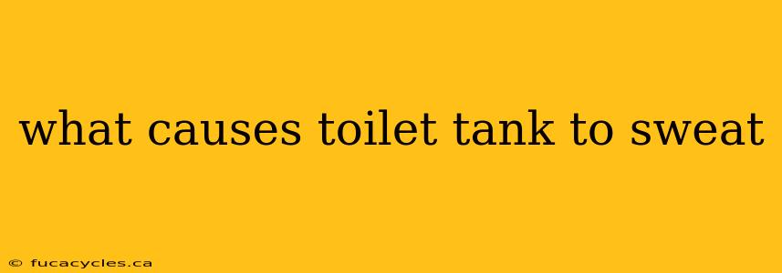 what causes toilet tank to sweat