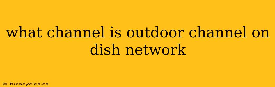 what channel is outdoor channel on dish network