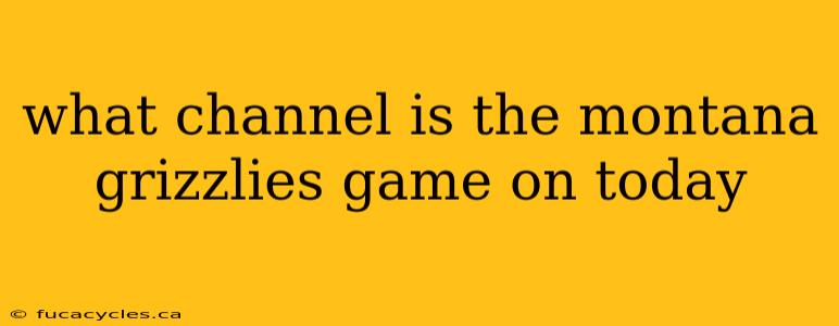 what channel is the montana grizzlies game on today