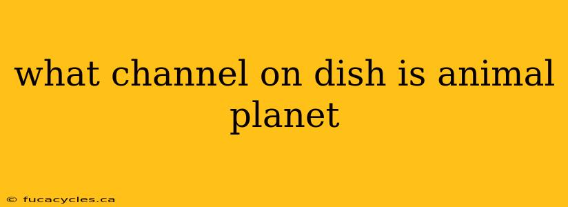 what channel on dish is animal planet