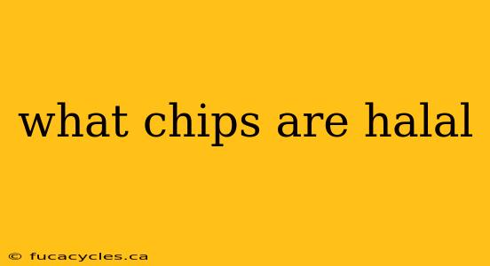 what chips are halal