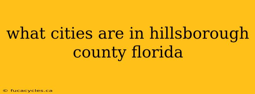 what cities are in hillsborough county florida