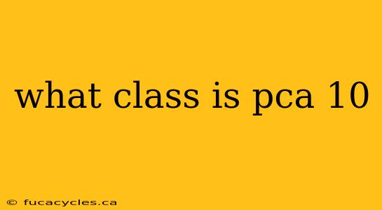 what class is pca 10