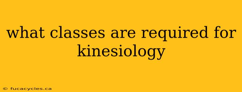 what classes are required for kinesiology