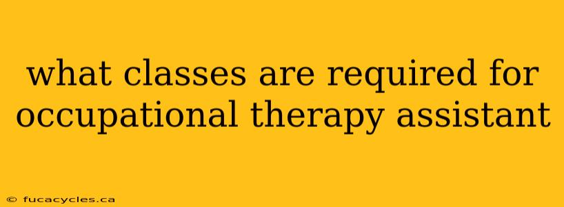 what classes are required for occupational therapy assistant