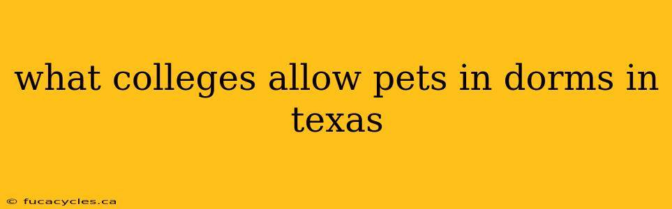 what colleges allow pets in dorms in texas