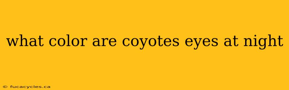 what color are coyotes eyes at night