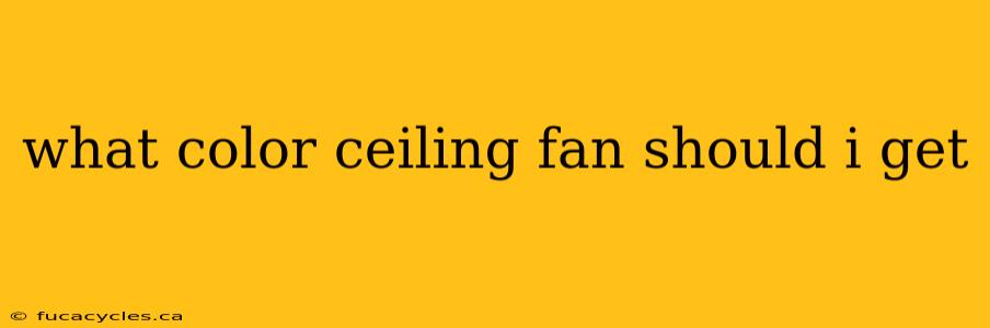 what color ceiling fan should i get