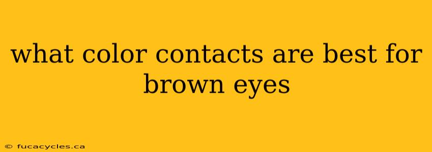 what color contacts are best for brown eyes