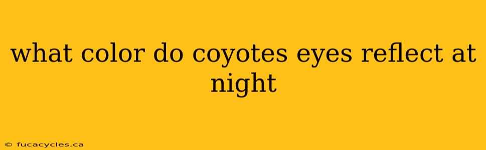 what color do coyotes eyes reflect at night