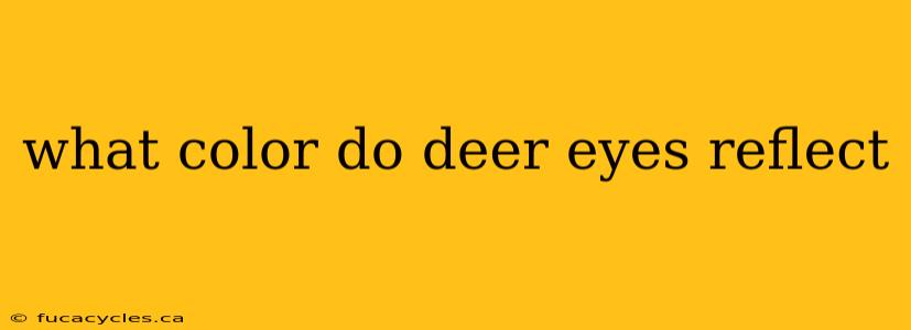 what color do deer eyes reflect