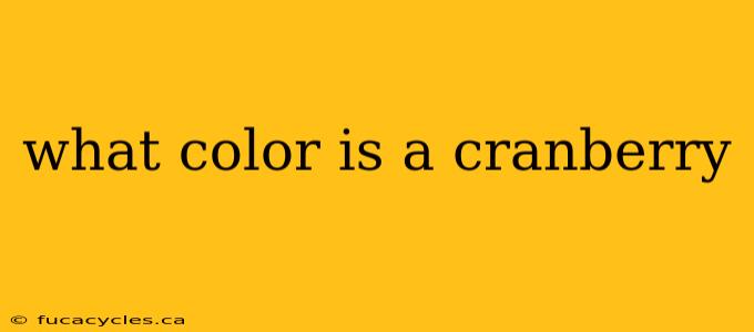 what color is a cranberry