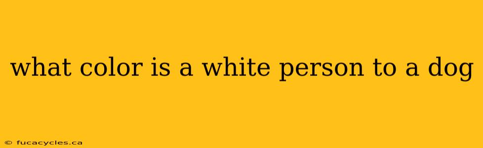 what color is a white person to a dog