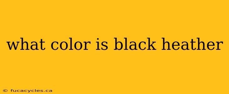 what color is black heather