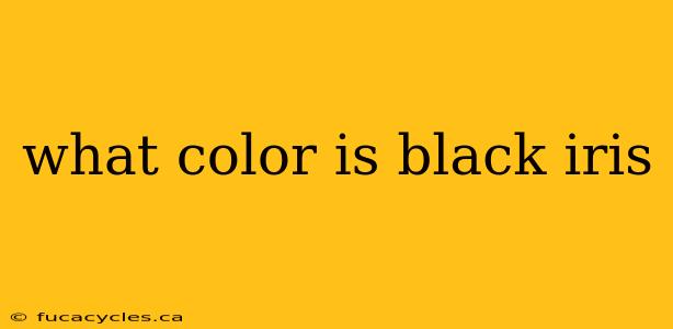 what color is black iris