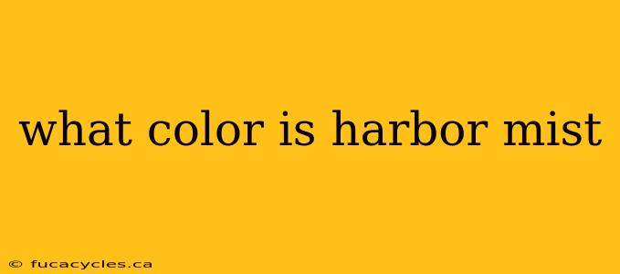 what color is harbor mist