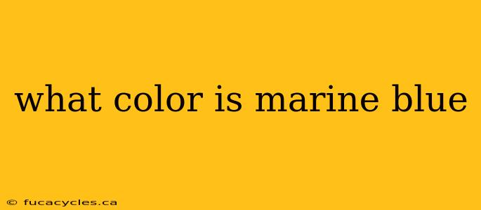 what color is marine blue