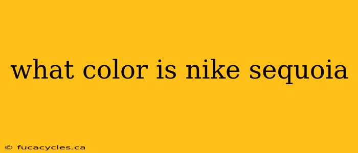 what color is nike sequoia