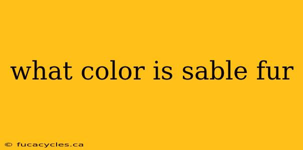 what color is sable fur