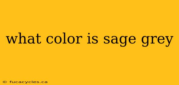 what color is sage grey