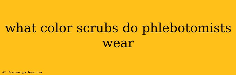 what color scrubs do phlebotomists wear